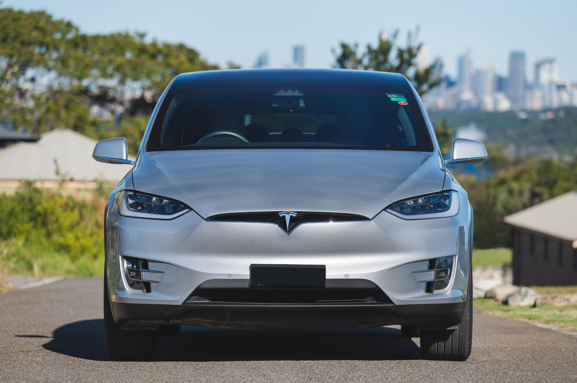 Model X